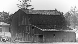 An antiqued-style photo shows a rustic barn, evoking the nostalgic charm of the farm where the Lecks' grew up. The weathered wooden structure stands against a backdrop of rolling fields, conveying the simplicity and beauty of rural life. The barn serves as a symbol of the Lecks' upbringing and connection to their agricultural roots.