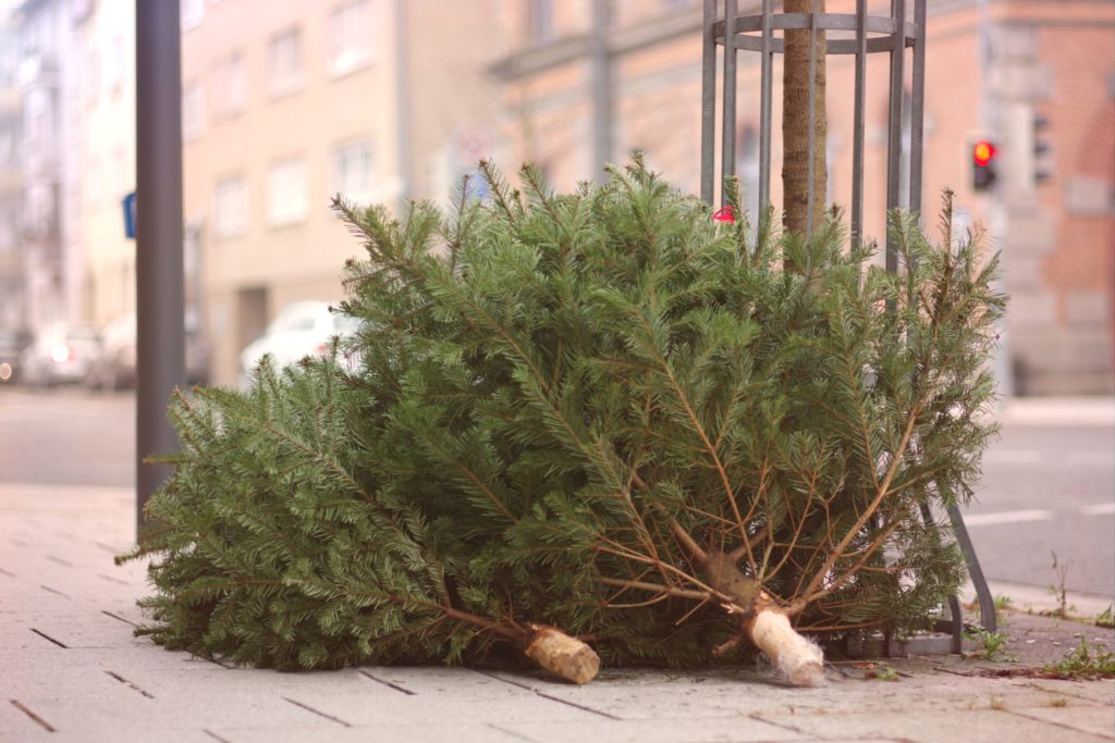 Yard Waste - Christmas trees